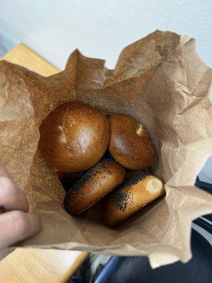 Plain and poppy seed bagels