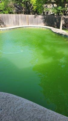 1 month of our pool looking like this in prime pool season.