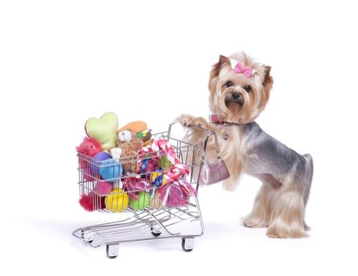 Shop til' you Plop & the Village Pet Shop!