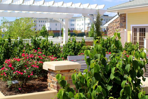 Adler Center Courtyard