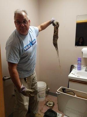 pulled tree roots out of the toilet flange and reseated toilet