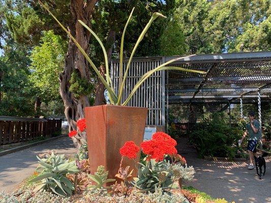 Lake Merritt : jardin japonais