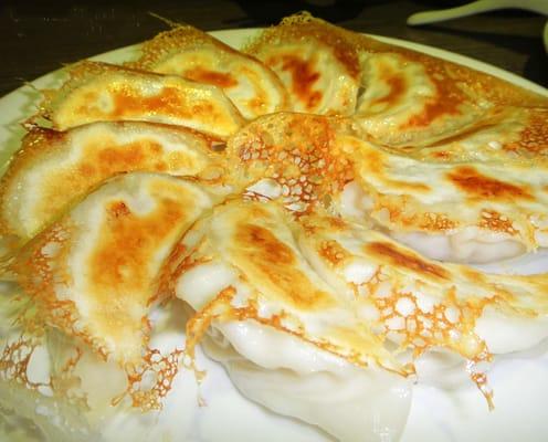 Pan Fried Dumplings