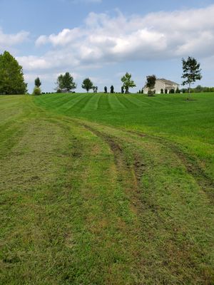 Gouges in rear of yard.