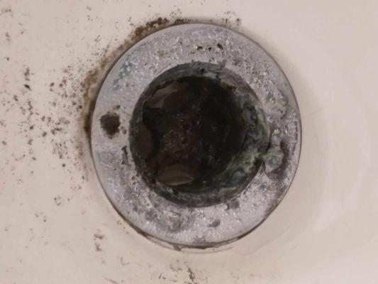 Mold or something in the Shower drain