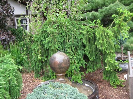 Entryway at the Garden of Eder