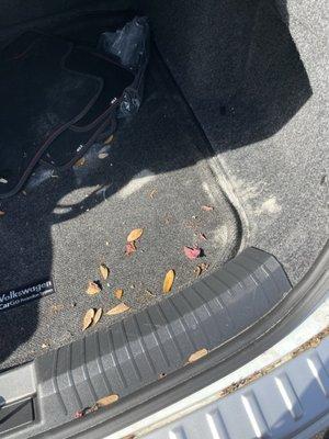 Sand and leaves in the trunk of the car