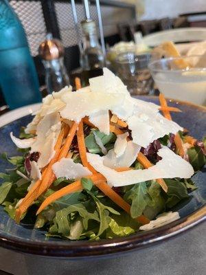 Arugula, radicchio, and carrot salad