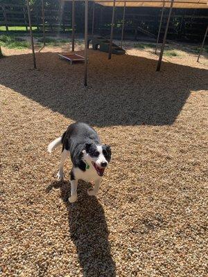 Nice outdoor play area for daily exercise!