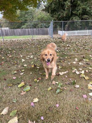 Willow loving her play date at Susie's!