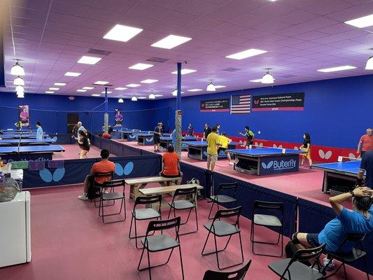 Texas Table Tennis Club