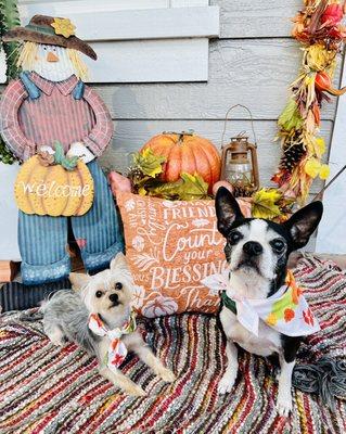 Ellie and Mia look beautiful for Thanksgiving Day