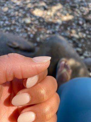 Uneven bulky nails because instead of sanding off the entire dip she just went over the same powder.