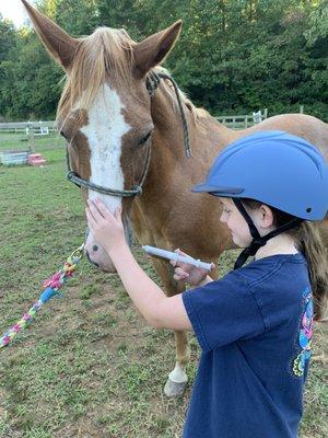 Horsekeeping