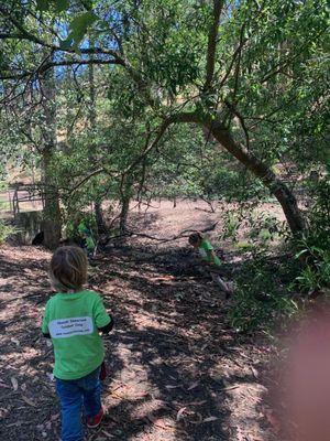 Exploring during her Friday Forest a school and activities in her backyard