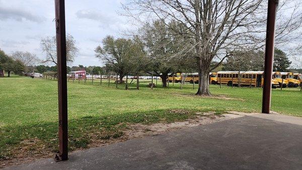 My daughter's school buses and front gate.  We are having such a fun time; there are so many kids. So always eyes on your child