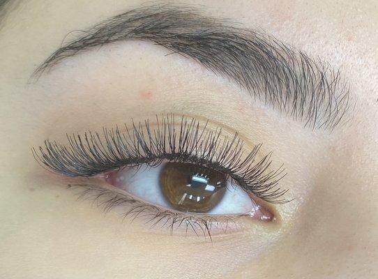 Eyelashes with Medium length and Natural Volumne