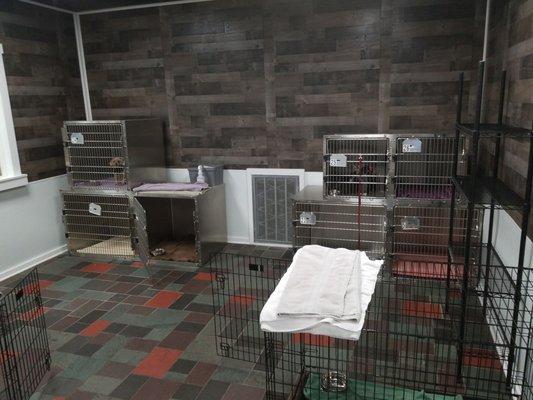 Well-ventilated dog cages