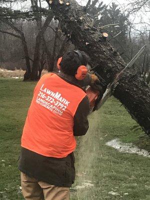 LawnMark Tree Service