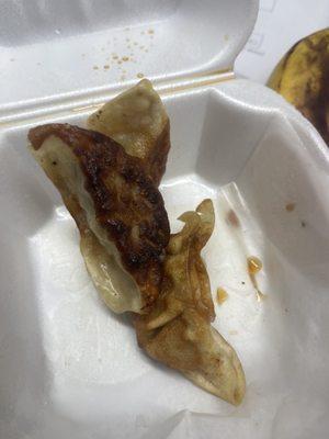 Gyoza