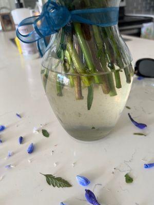 Brown water, dirty vase, more flowers falling on my counter. I've been cleaning up flowers for two days now. I'm over it.