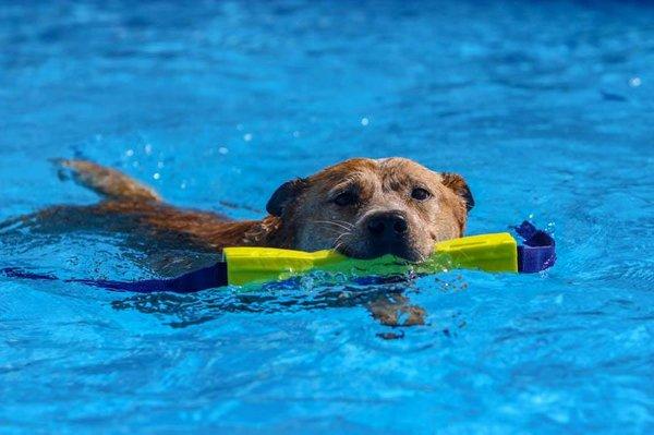 Justice enjoying her swim time with us!