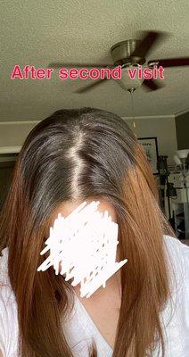 After the second visit when I wanted the color to match my roots