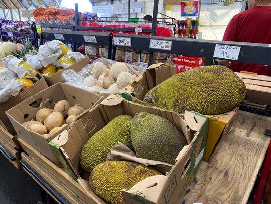 Jackfruit and other Tropical fruit