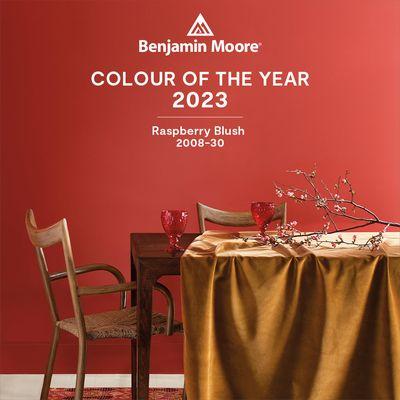 A vivacious shade of coral tinged with pink. Featured along with the rest of the Colour Trends 2023 palette, this collection is a must.