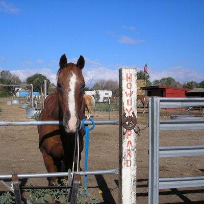 Howdy Pard Greeting