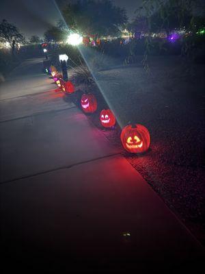 Pumpkins along sidewalk between displays