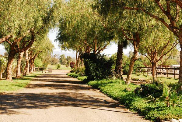 Pepper Creek Equine Center