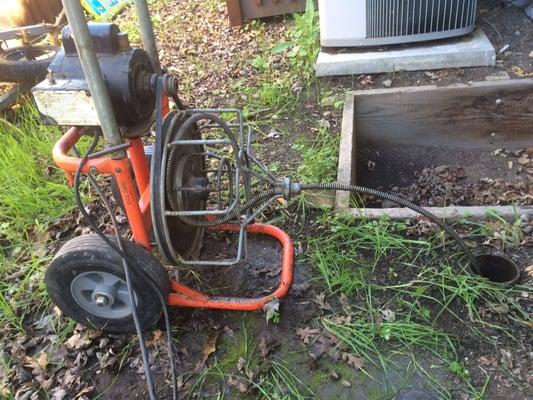 Cutting and pulling out the roots that are clogging my sewer line.