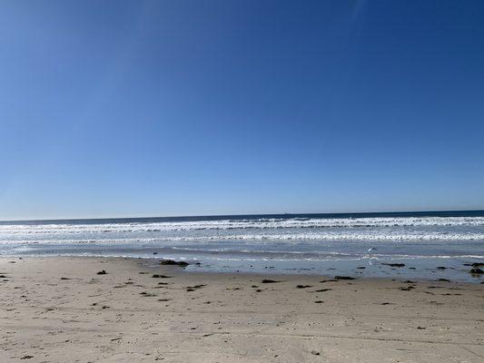 December, in San Diego's Mission Beach. Hamel's Bike Rentals.