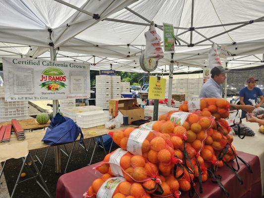 Sunday Farmers Matket back to normal: under the freeway!