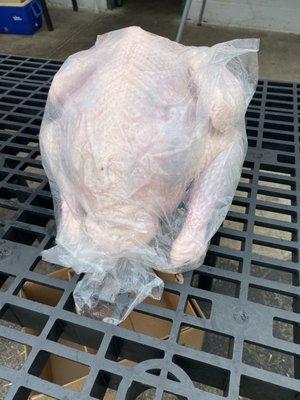 Fresh 18lb turkey