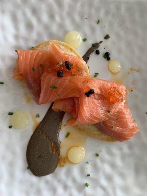 Salmon