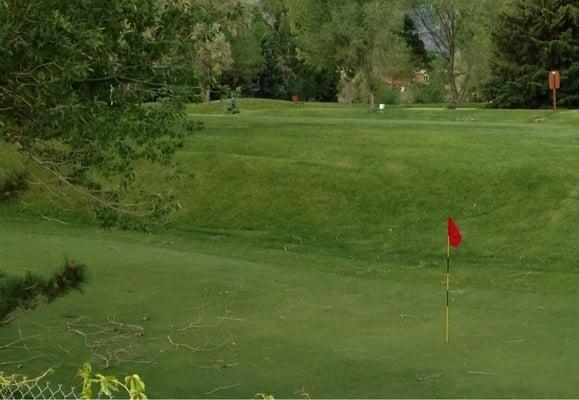 All the greens look this frazzled and littered with sticks. Either a recent gust of gale force winds or poor upkeep.