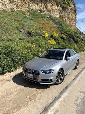 Audi A4 in Malibu, California