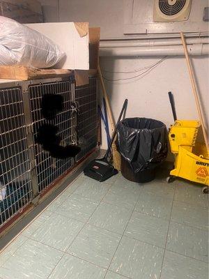 Cage next to a garbage and a dirty mop bucket:(