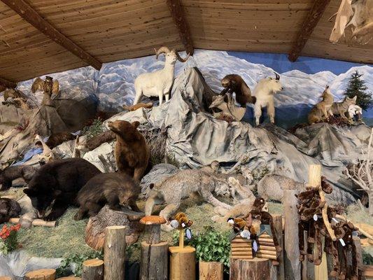 An stuffed animal display of the animals of Alaska made by previous owners over 20 years ago.