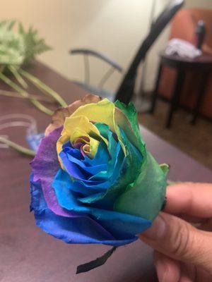 The amazing rainbow flower