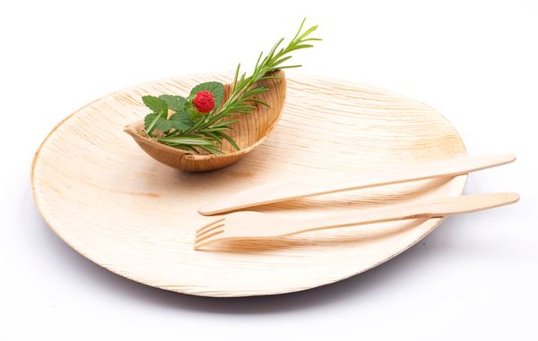 Areca Leaf Plates