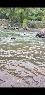 The swim back after cliff jumping. Staff was located down river for safety