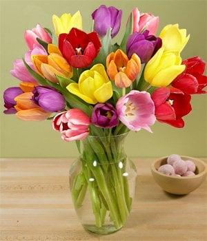 15 Tulips $29.95