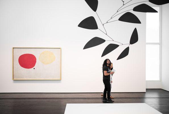 The Menil Collection's Modern and Contemporary galleries.