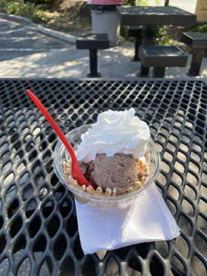 Smores with Whipped Cream ( Ice Cream Waffle Bowl )