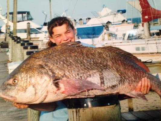 Black Drum