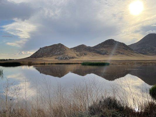 A beautiful reflection off pond 1