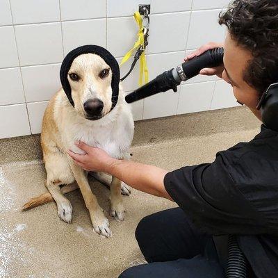 Happie Hoodie's are essential for kiddo's who are a bit timid for the hair dryer